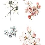 Homebodii Print Florals Lores