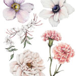BP MD 2025 Floral Elements lores
