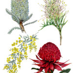 TPS Botanicals lores