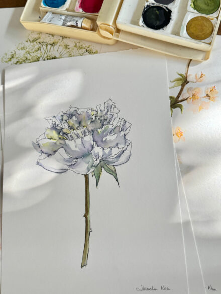 Peony 1 - Original Watercolour Artwork A4