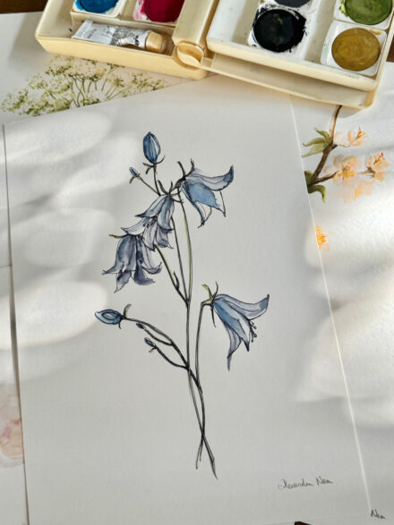 Blue Bells - Original Watercolour Artwork A4