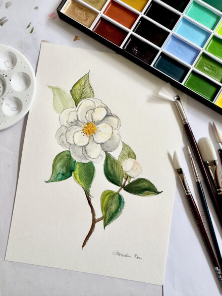 White Camellia - Original Watercolour Artwork A4