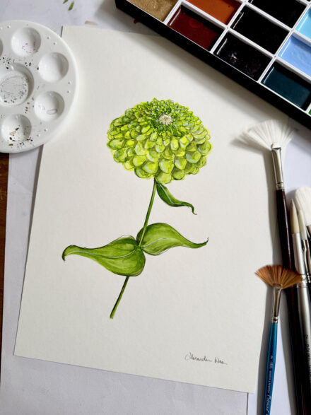 Zinnia - Original Watercolour Artwork A4