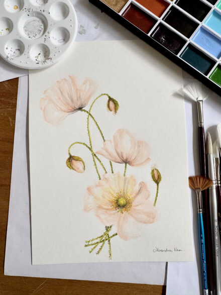 Pink Poppy 1 - Original Watercolour Artwork A4
