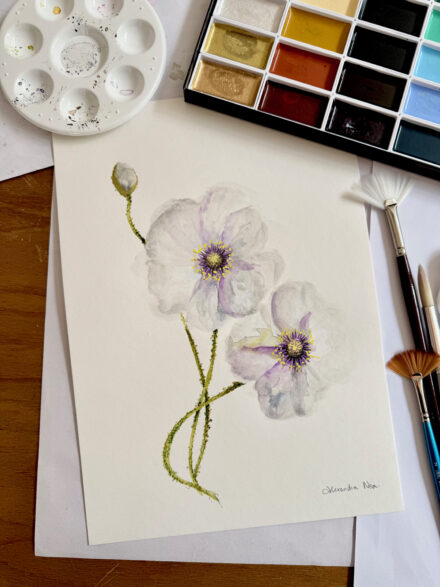 Lilac Poppy - Original Watercolour Artwork A4